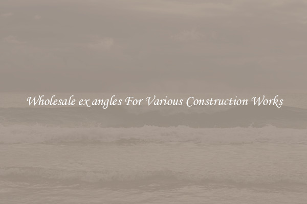 Wholesale ex angles For Various Construction Works