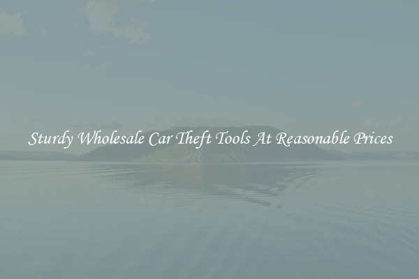 Sturdy Wholesale Car Theft Tools At Reasonable Prices