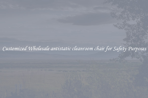Customized Wholesale antistatic cleanroom chair for Safety Purposes