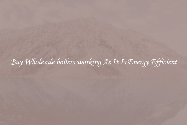 Buy Wholesale boilers working As It Is Energy Efficient