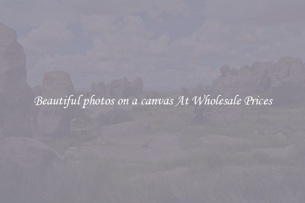 Beautiful photos on a canvas At Wholesale Prices