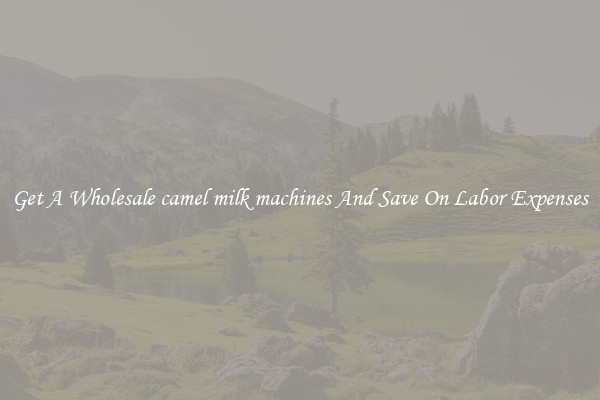 Get A Wholesale camel milk machines And Save On Labor Expenses