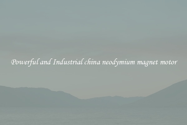 Powerful and Industrial china neodymium magnet motor
