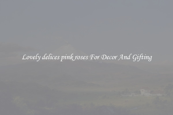 Lovely delices pink roses For Decor And Gifting