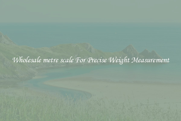Wholesale metre scale For Precise Weight Measurement