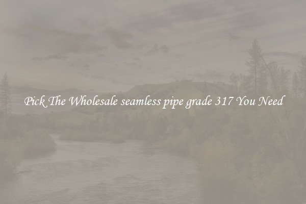 Pick The Wholesale seamless pipe grade 317 You Need