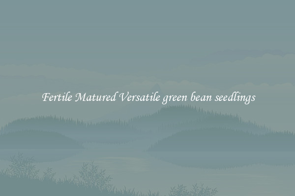 Fertile Matured Versatile green bean seedlings