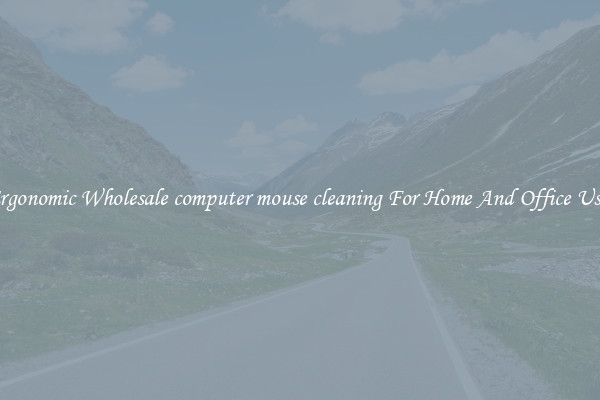 Ergonomic Wholesale computer mouse cleaning For Home And Office Use.