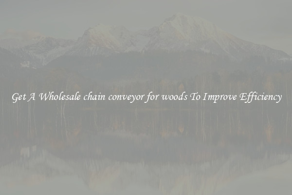 Get A Wholesale chain conveyor for woods To Improve Efficiency