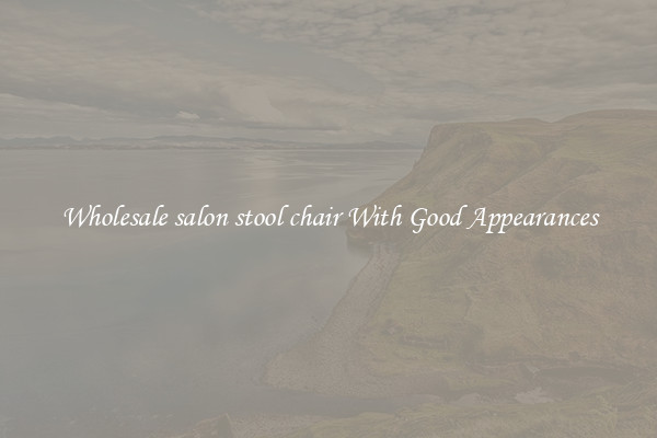 Wholesale salon stool chair With Good Appearances