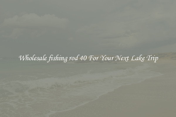 Wholesale fishing rod 40 For Your Next Lake Trip