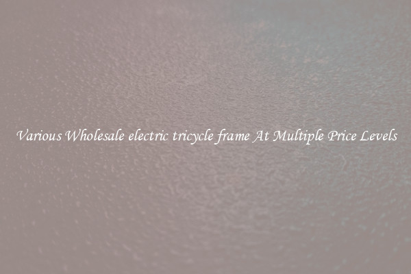 Various Wholesale electric tricycle frame At Multiple Price Levels