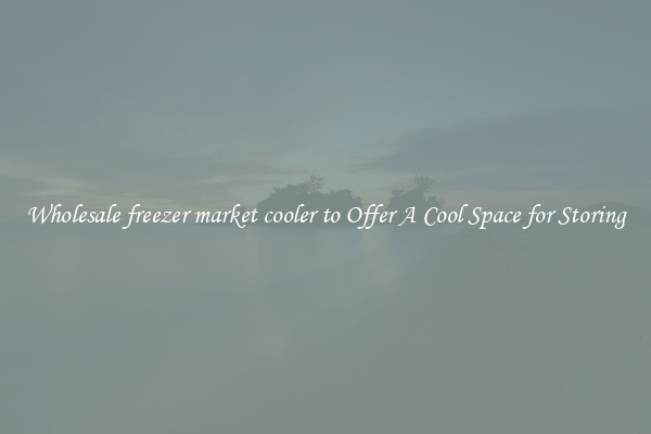 Wholesale freezer market cooler to Offer A Cool Space for Storing