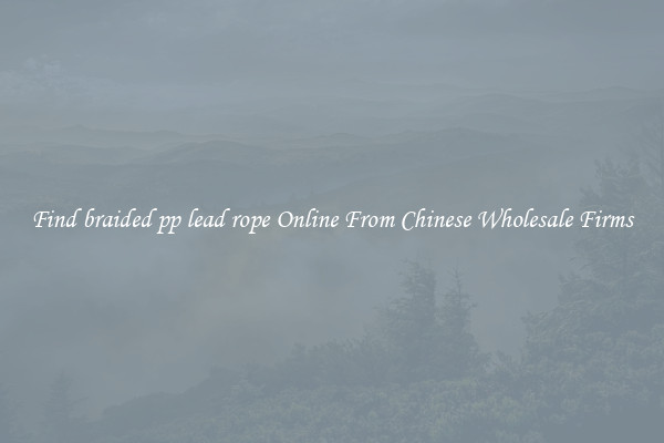 Find braided pp lead rope Online From Chinese Wholesale Firms