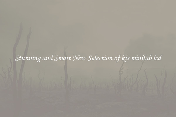 Stunning and Smart New Selection of kis minilab lcd