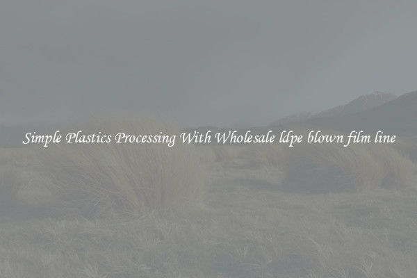 Simple Plastics Processing With Wholesale ldpe blown film line