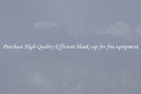 Purchase High-Quality Efficient blank cap for fire equipment