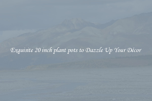 Exquisite 20 inch plant pots to Dazzle Up Your Décor 