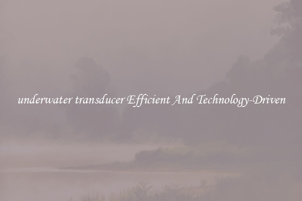 underwater transducer Efficient And Technology-Driven