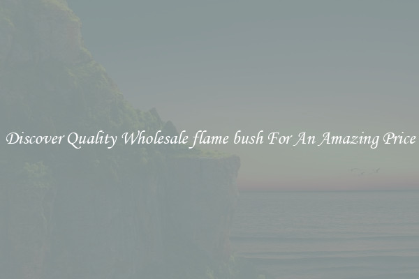 Discover Quality Wholesale flame bush For An Amazing Price