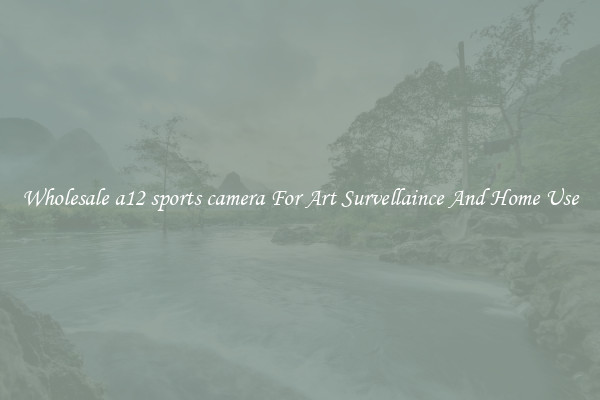 Wholesale a12 sports camera For Art Survellaince And Home Use