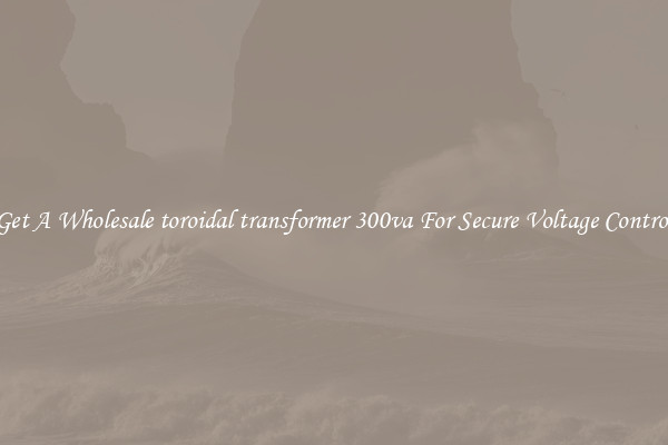 Get A Wholesale toroidal transformer 300va For Secure Voltage Control