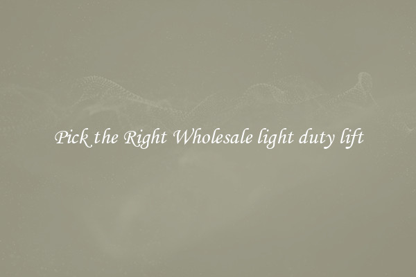 Pick the Right Wholesale light duty lift