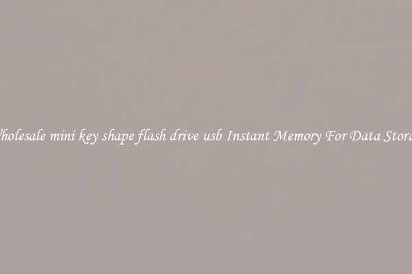 Wholesale mini key shape flash drive usb Instant Memory For Data Storage