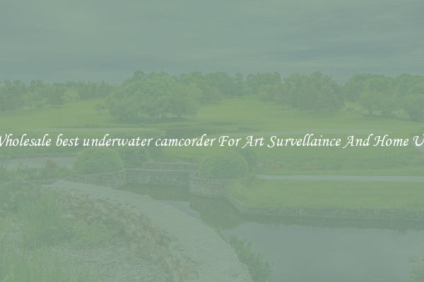 Wholesale best underwater camcorder For Art Survellaince And Home Use