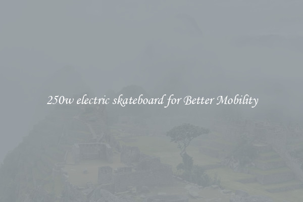 250w electric skateboard for Better Mobility